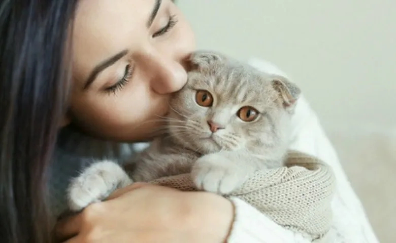 Manfaat Memelihara Kucing bagi Manusia - Meredakan Stres